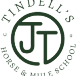 Jerry Tindell logo