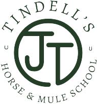 Jerry Tindell logo