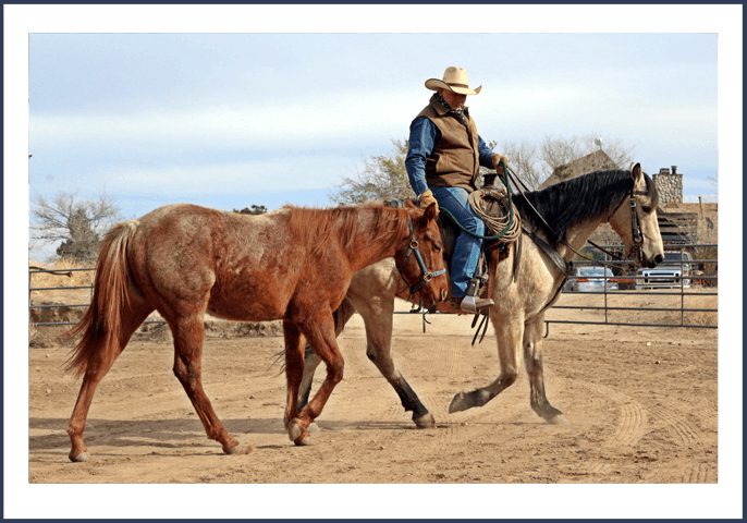 man and two horses