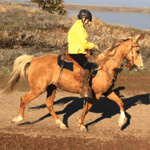 woman in yellow jacket on a horse