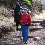 woman in a red sweater walking a horse