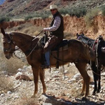 man riding a horse in an open field