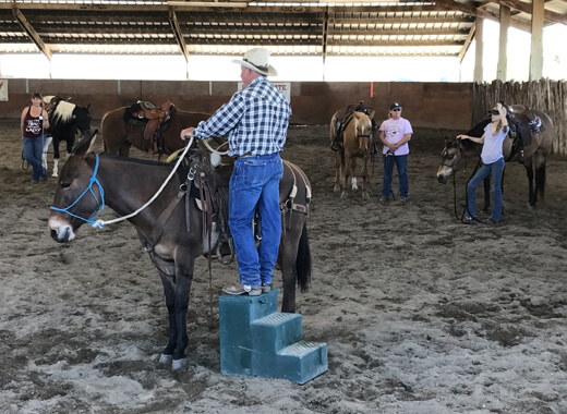 horse riding students