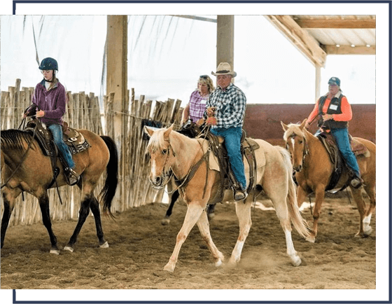 progressive horsemanship training