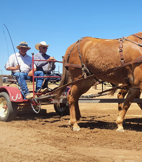 horses pulling two men