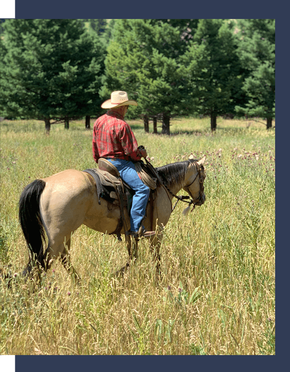 man riding horse