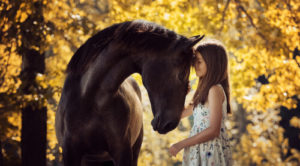 young girl and horse touching foreheads