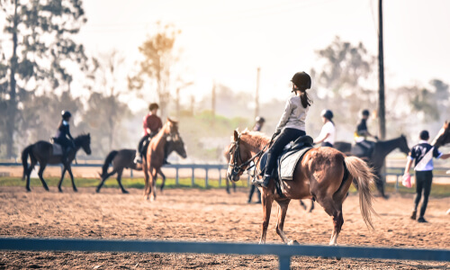 Young rider on horse in class